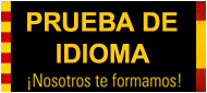 CARNET TAXI PRUEBA IDIOMA
